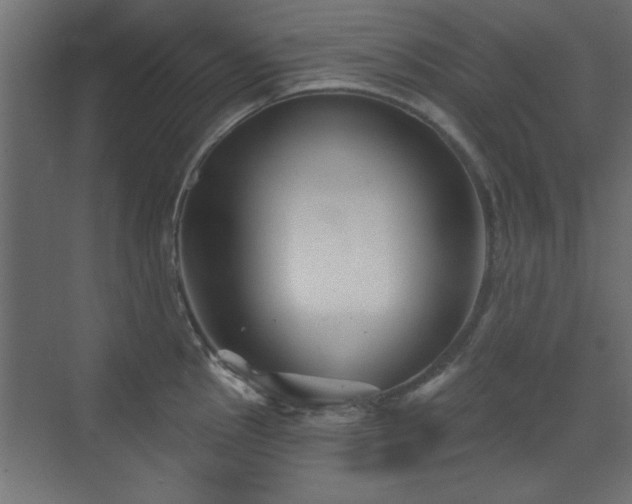 X0000073541145200607311346