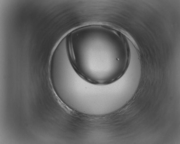 X0000073541148200607311346