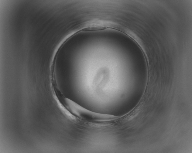 X0000073541152200607311346