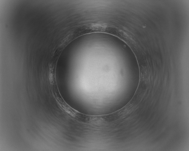 X0000073541154200607311345