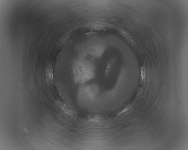 X0000073541155200607311345
