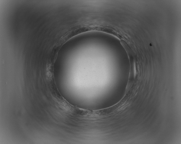 X0000073541156200607311345