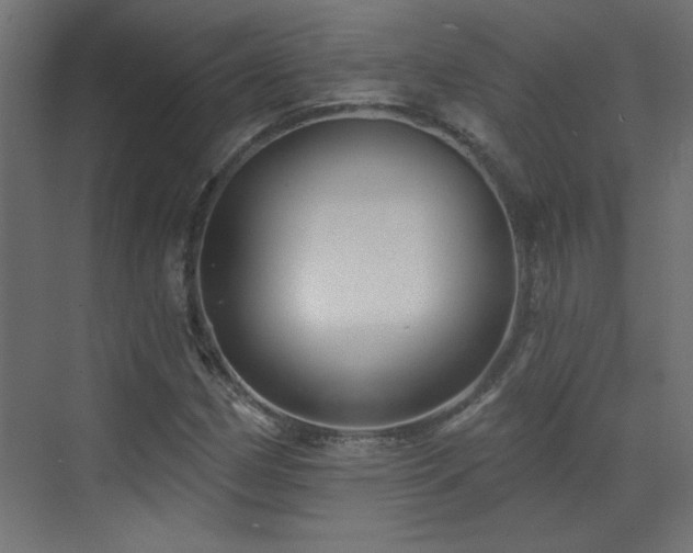 X0000073541162200607311345