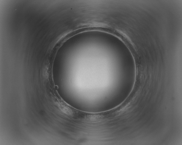 X0000073541163200607311345