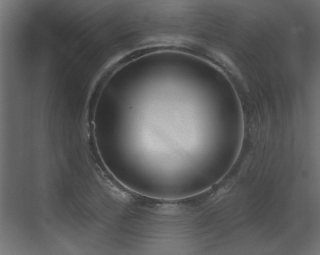 X0000073541172200607311345