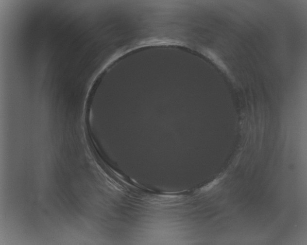 X0000073541173200607311345