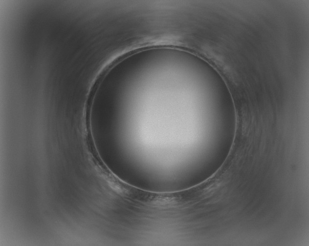 X0000073541174200607311345
