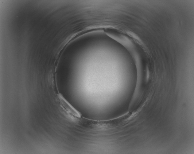 X0000073541177200607311345