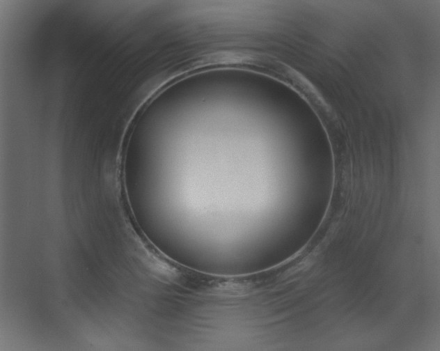 X0000073541178200607311345