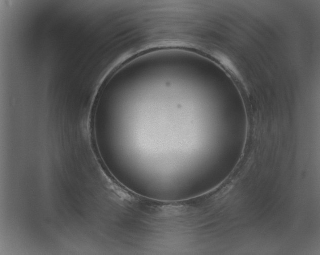 X0000073541181200607311344