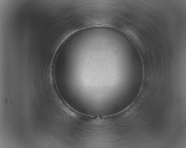 X0000073541182200607311344