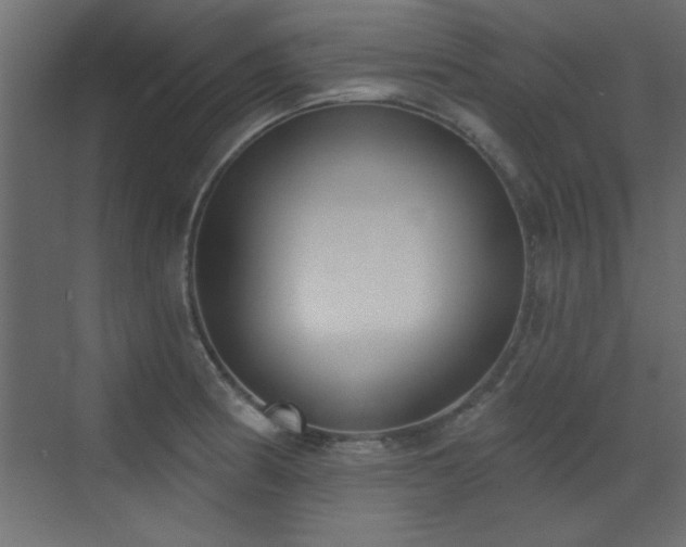 X0000073541186200607311344