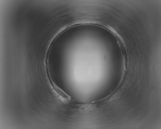 X0000073541189200607311344