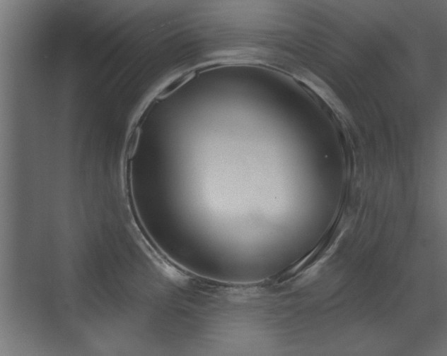 X0000073541196200607311344