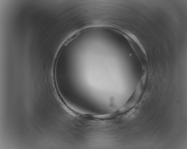 X0000073541197200607311344