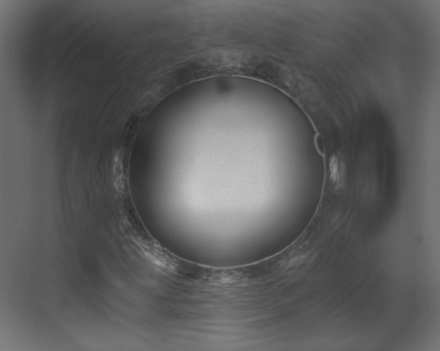 X0000073541203200607311343