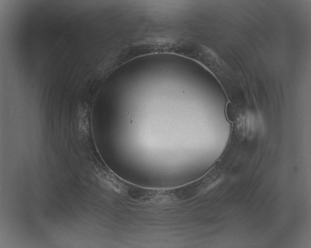 X0000073541204200607311343