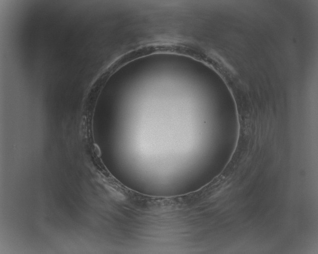 X0000073541208200607311343
