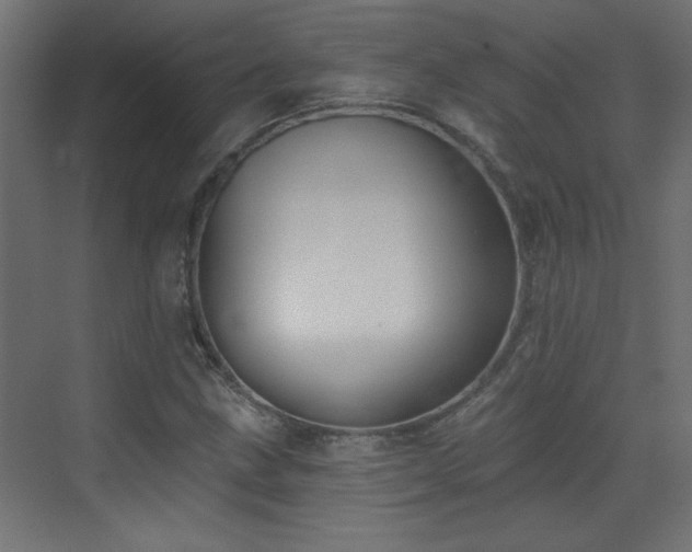 X0000073541211200607311343