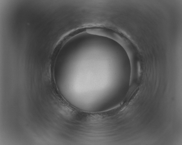 X0000073541214200607311344