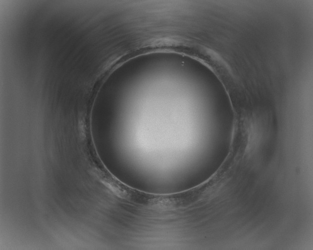 X0000073541217200607311344