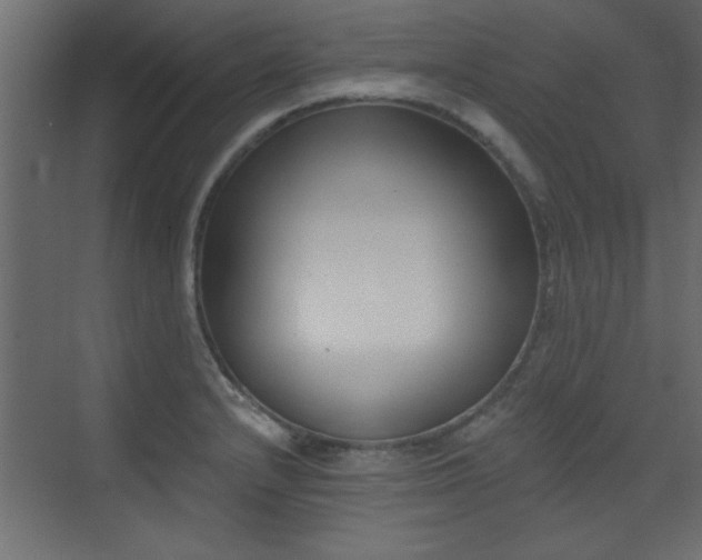 X0000073541232200607311344