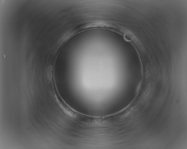 X0000073541233200607311344