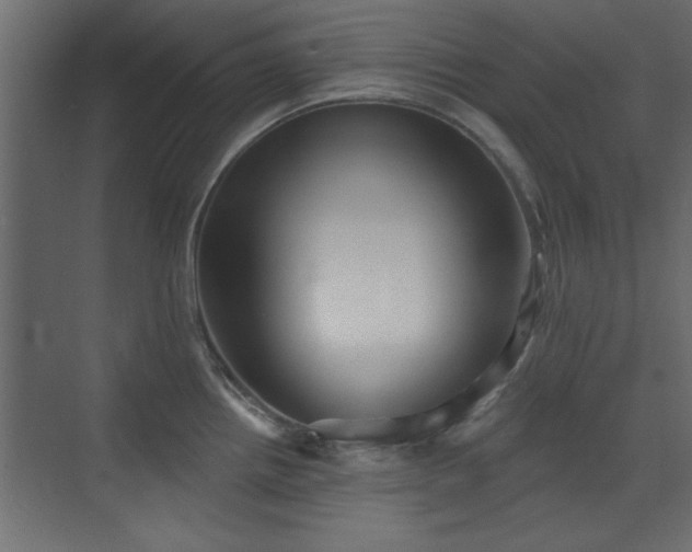 X0000073541242200607311344