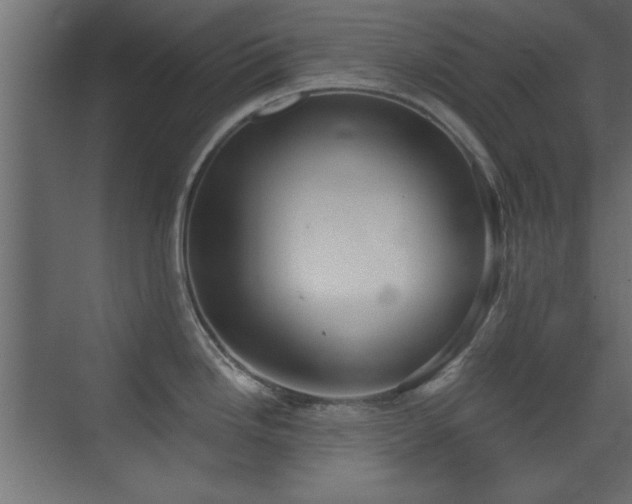 X0000073541246200607311344