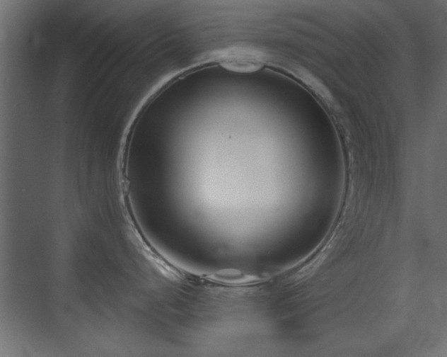 X0000073541248200607311344