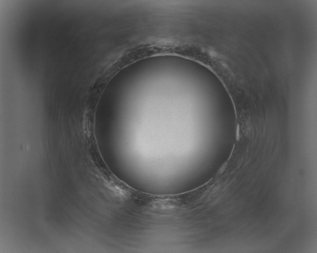 X0000073541253200607311343