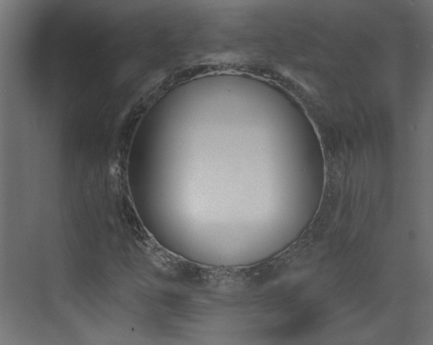 X0000073541254200607311343