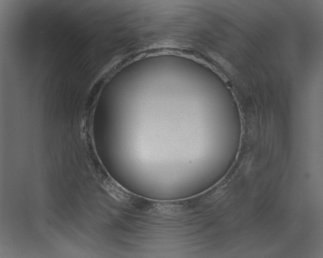 X0000073541258200607311343