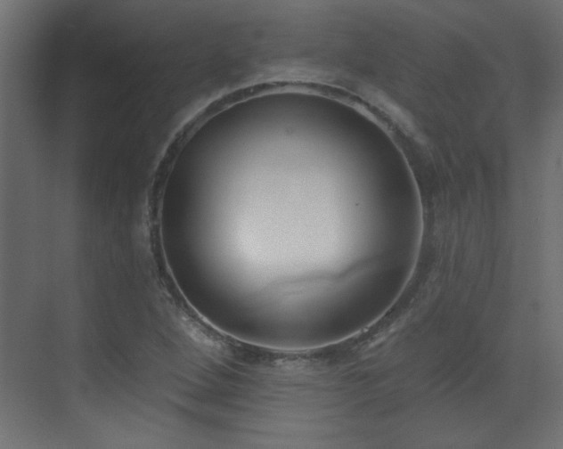 X0000073541264200607311343
