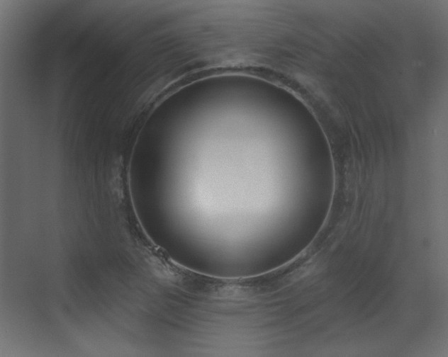 X0000073541265200607311343