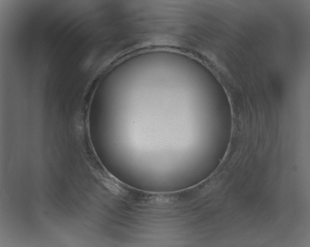 X0000073541266200607311343