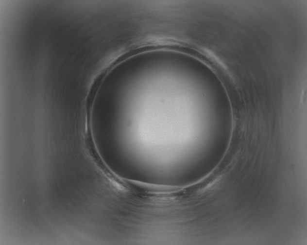 X0000073541269200607311343