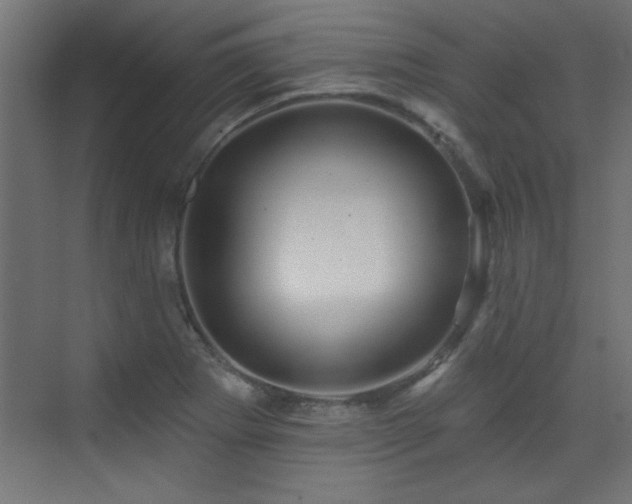 X0000073541273200607311343