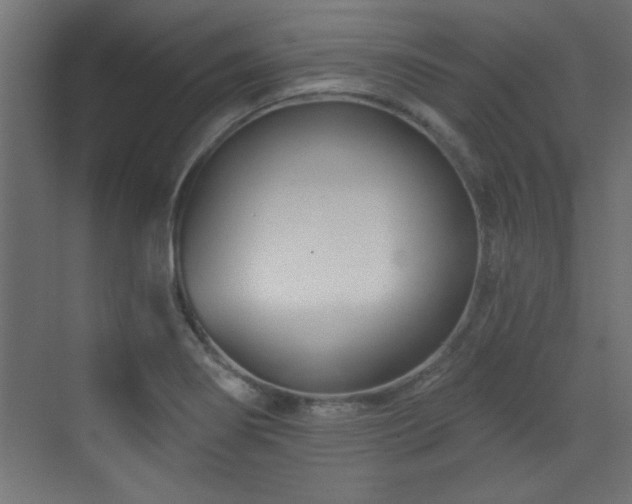 X0000073541274200607311343