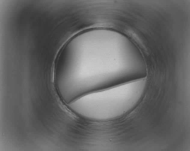 X0000073541276200607311343