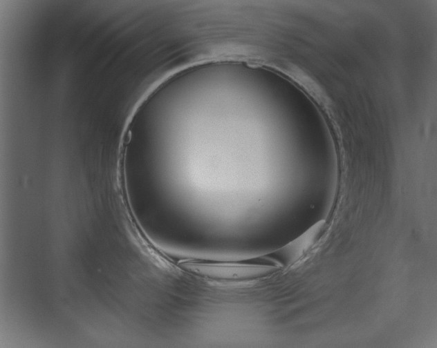 X0000073541296200607311343