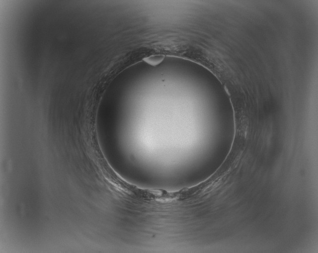 X0000073541297200607311342
