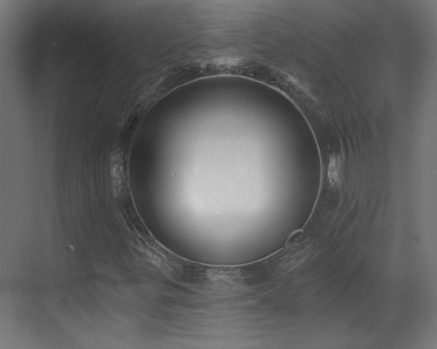 X0000073541299200607311342