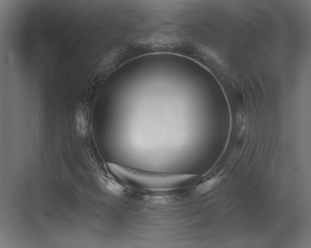 X0000073541300200607311342
