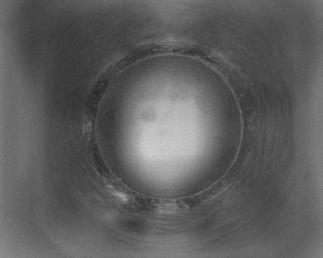 X0000073541302200607311342