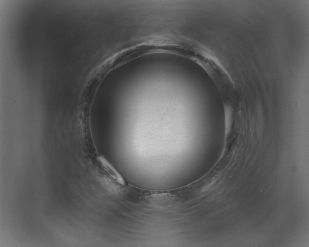 X0000073541304200607311342