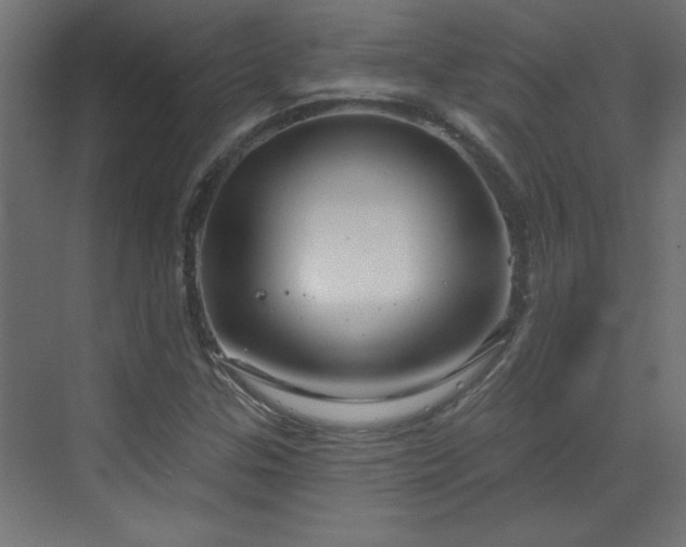 X0000073541307200607311342