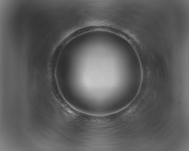 X0000073541311200607311342