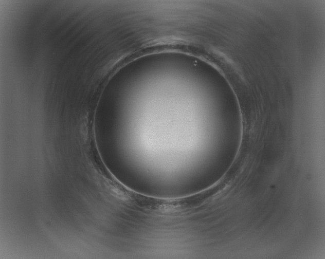 X0000073541313200607311342