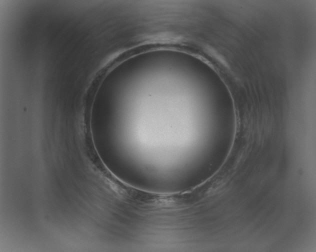 X0000073541315200607311342